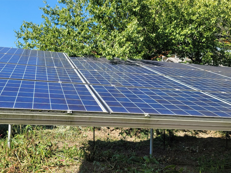 太陽光発電所の草刈り