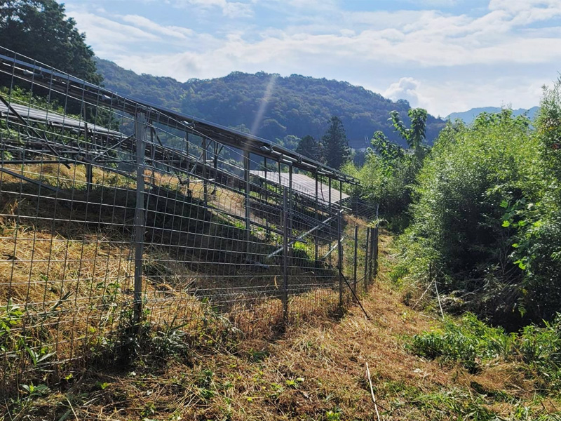太陽光発電所の草刈り
