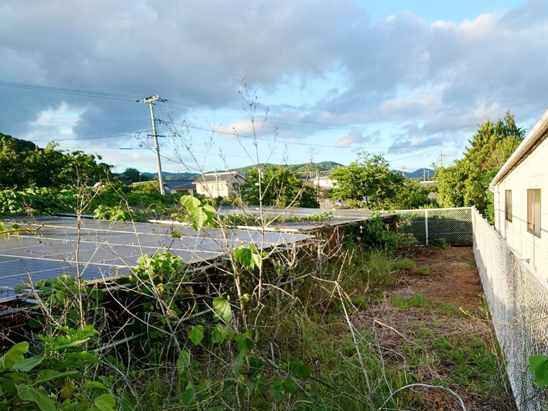 太陽光発電所の草刈り