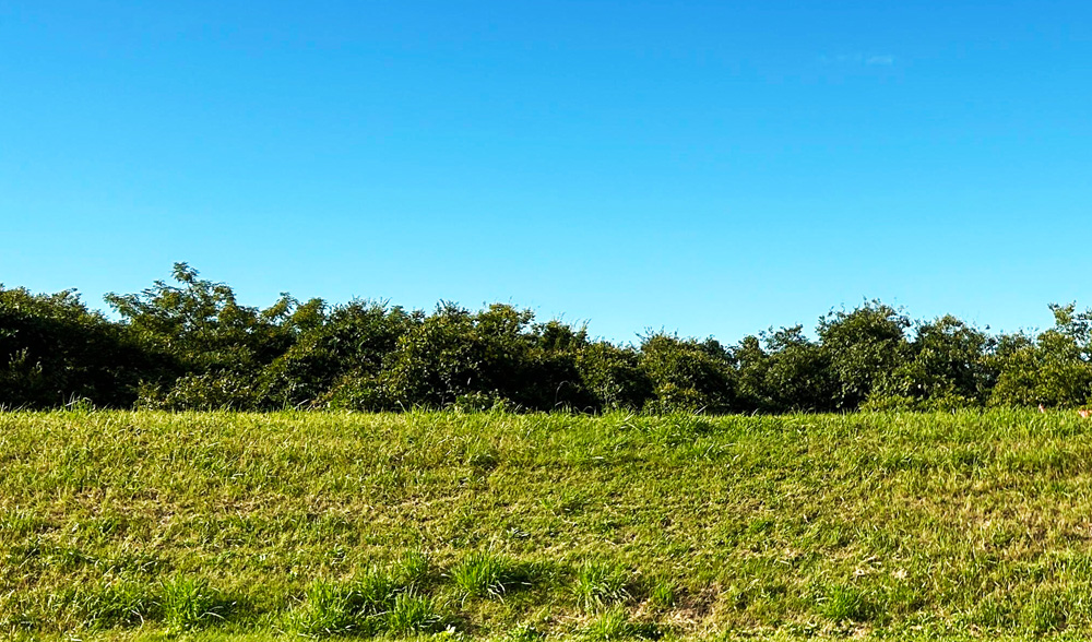 安全面への配慮