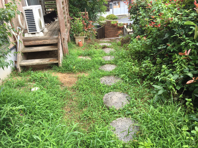 公共施設・住宅・空き地等の雑草