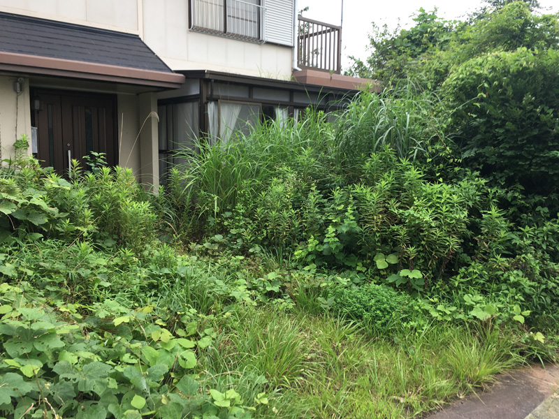 公共施設・住宅・空き地等の雑草