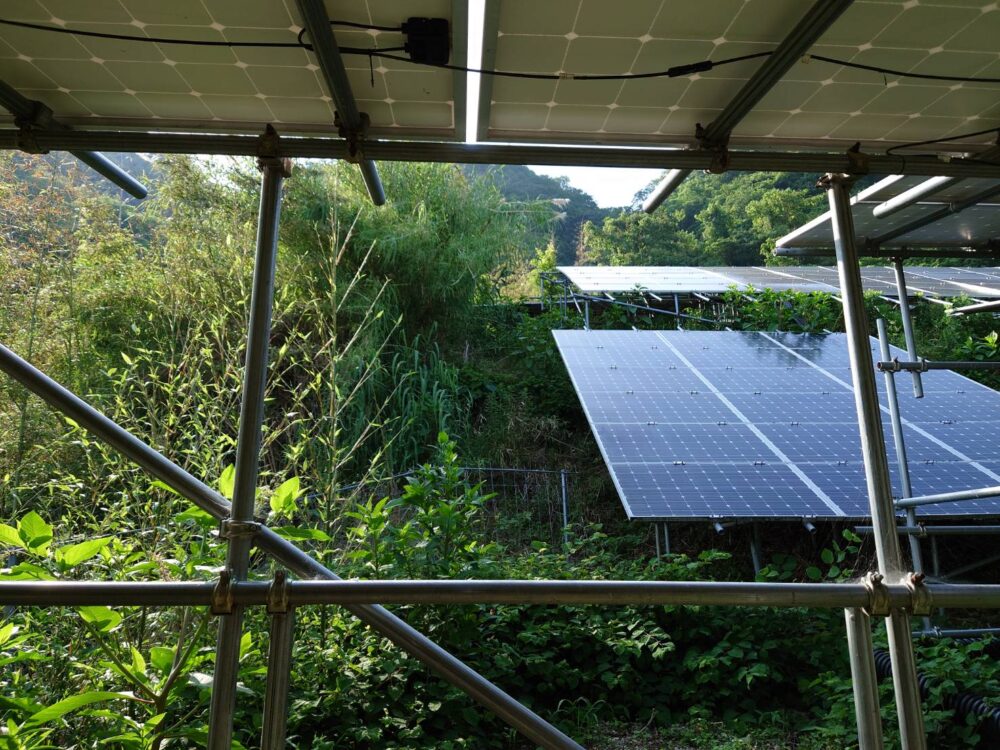 発電所 法面草刈り