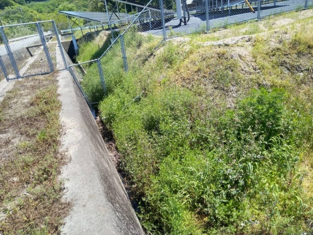 発電所 法面草刈り