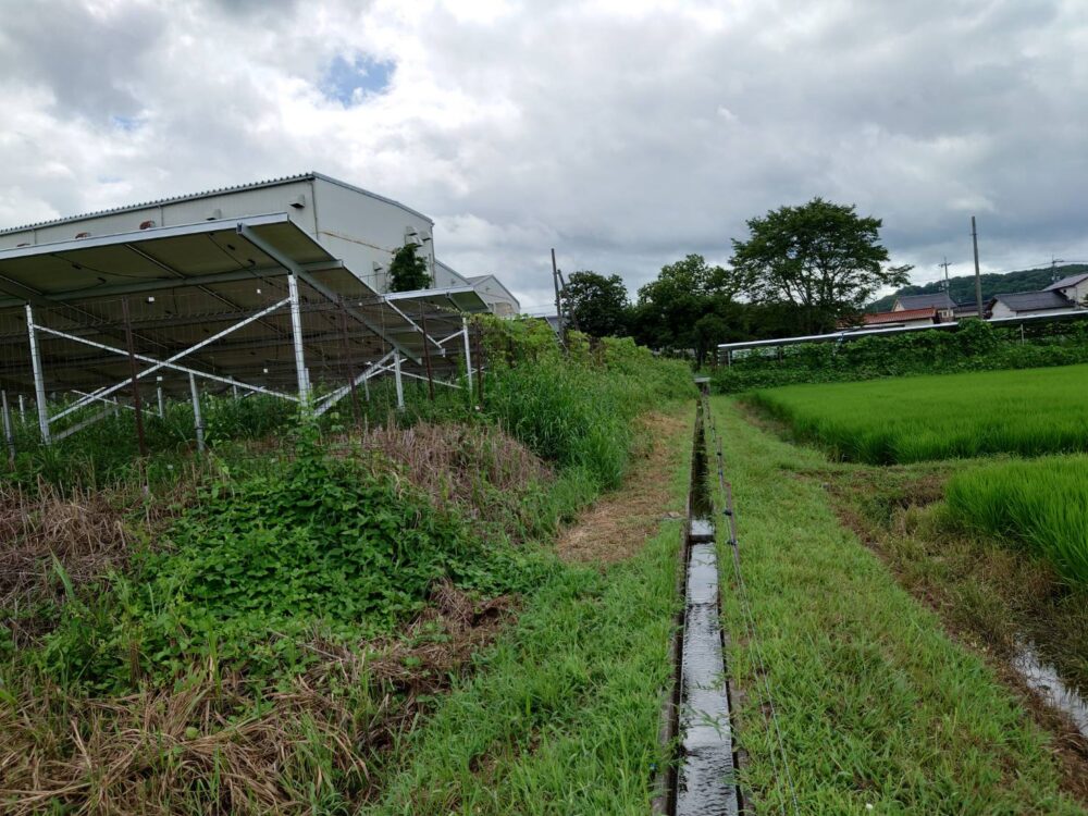 発電所 草刈り払い