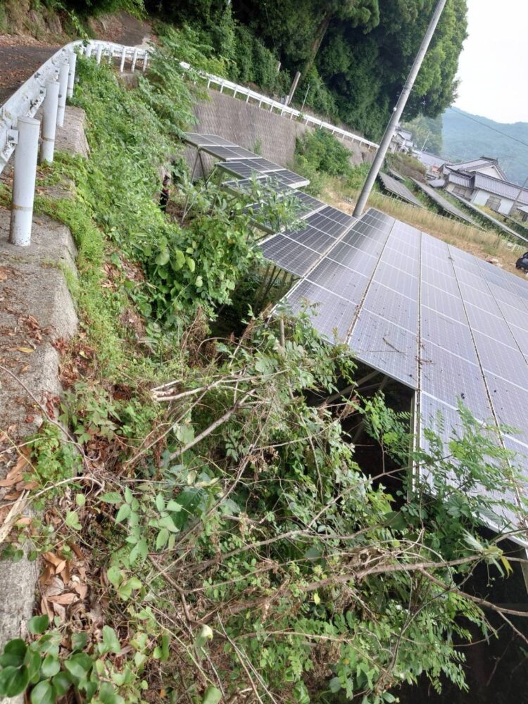 発電所草刈り及び道路下、側面草刈り