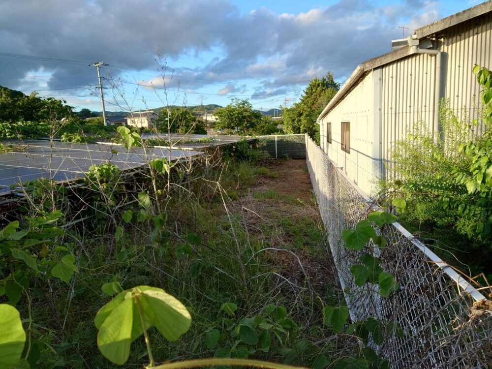 発電所 パネル上下フェンス草刈り