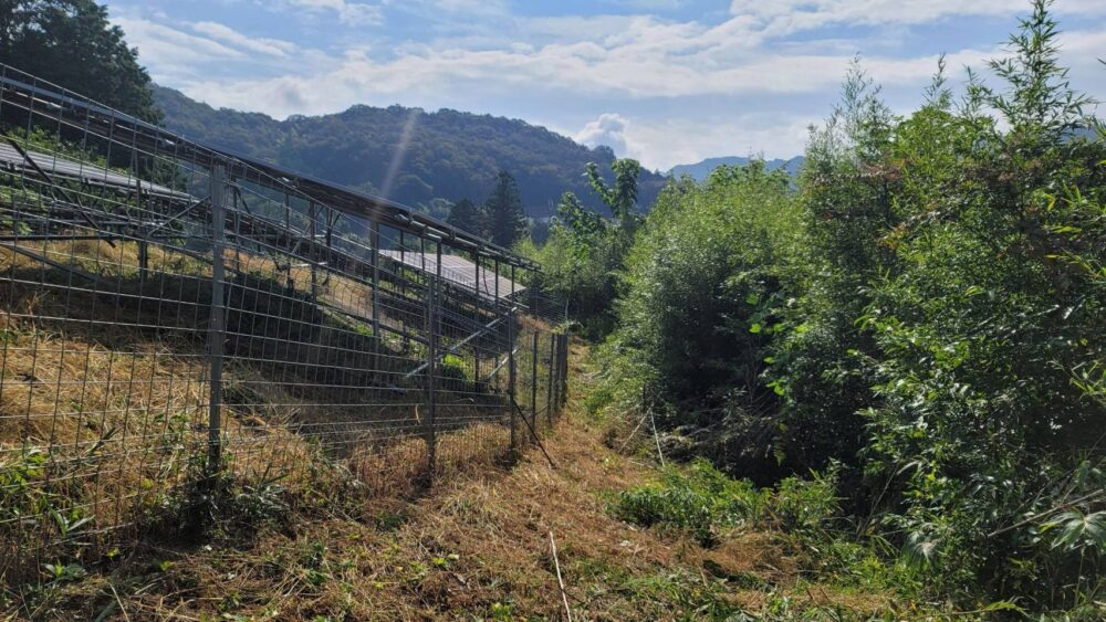 発電所フェンス外パネル影 伐採