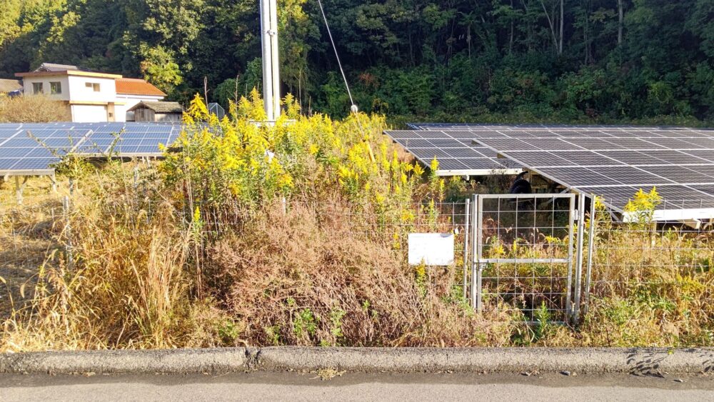 発電所内草刈り及びフェンス外草刈り