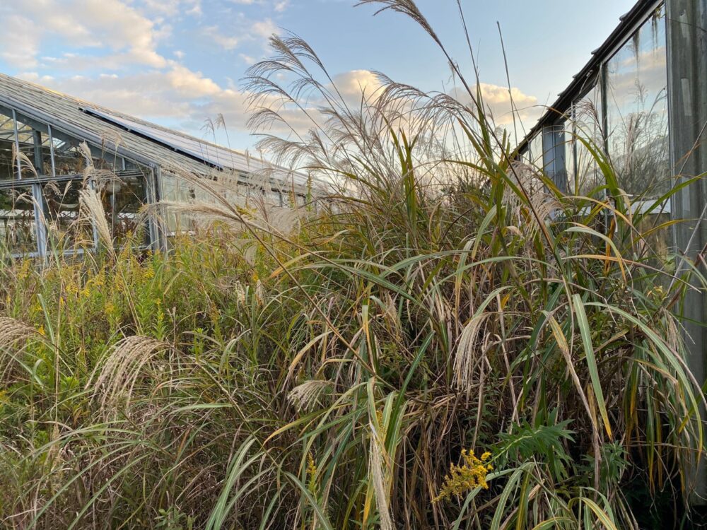 広島県 発電所自走式草刈り