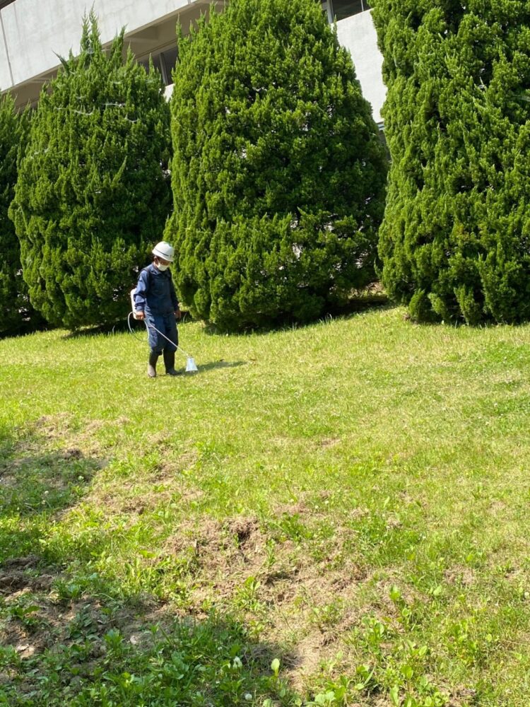 広島県 抑草剤散布